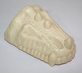 Masters Of the Universe Battle Bones Head Part He-Man MOTU Mattel 1984 (Damaged)
