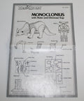 Dino Riders Monoclonius Instruction Sheet Tyco 1987